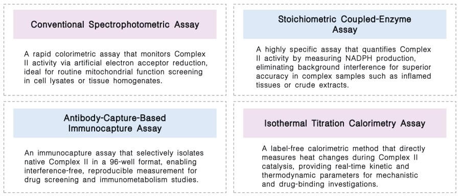 Featured services of complex II activity assay service at Creative Biolabs. (Creative Biolabs Original)