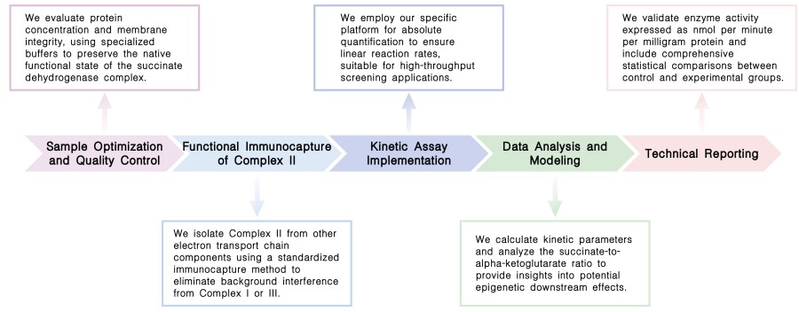 Workflow of complex II activity assay service at Creative Biolabs. (Creative Biolabs Original)