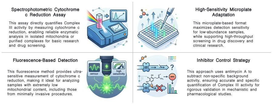 Featured services of complex III activity assay service at Creative Biolabs. (Creative Biolabs Original)