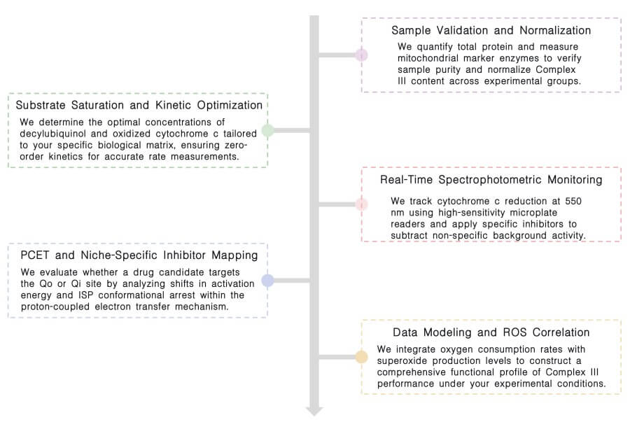 Workflow of complex III activity assay service at Creative Biolabs. (Creative Biolabs Original)
