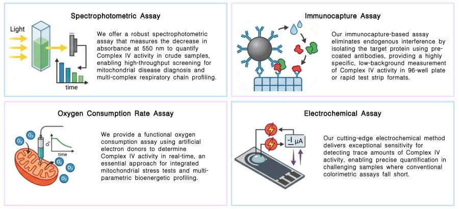 Featured services of complex IV activity assay service at Creative Biolabs. (Creative Biolabs Original)