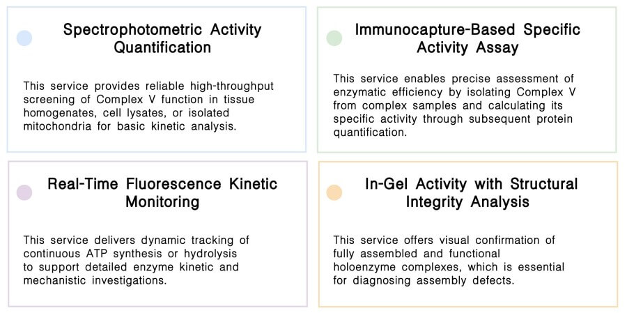 Featured services of complex V activity assay service at Creative Biolabs. (Creative Biolabs Original)