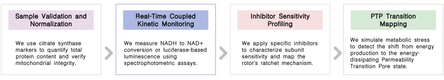 Workflow of complex V activity assay service at Creative Biolabs. (Creative Biolabs Original)
