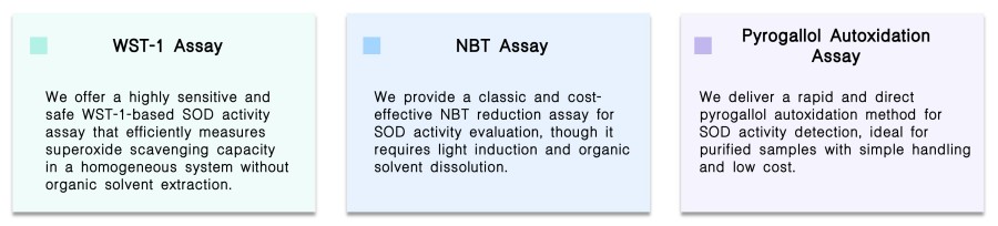 Featured services of SOD activity assay service at Creative Biolabs. (Creative Biolabs Original)