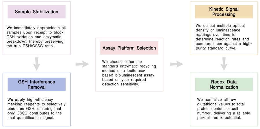 Workflow of GSH/GSSG assay service at Creative Biolabs. (Creative Biolabs Original)