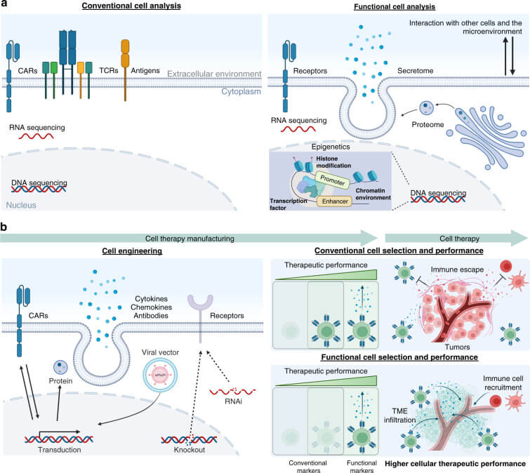 Fig.1 Next-generation cell therapy design and manufacturing workflows. (OA Literature)