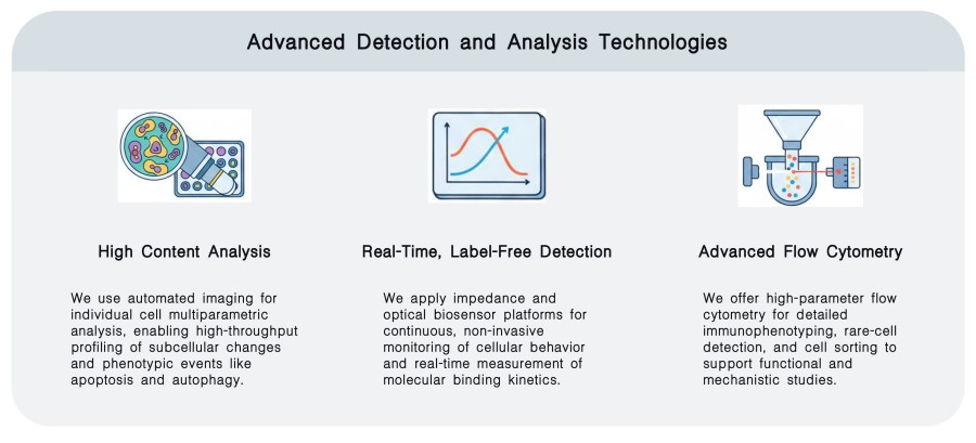 Advanced Detection and Analysis Technologies of Cellular Mechanism & Functional Characterization Services at Creative Biolabs. (Creative Biolabs Original)