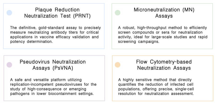 Viral Neutralization Assays at Creative Biolabs. (Creative Biolabs Original)