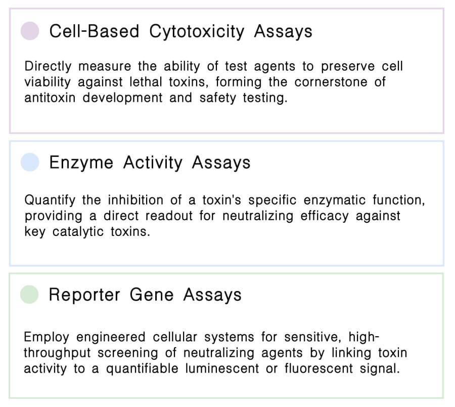 Toxin Neutralization Assays at Creative Biolabs. (Creative Biolabs Original)