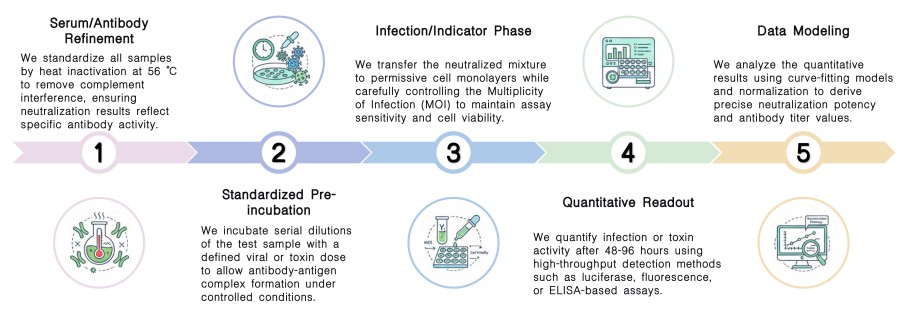 Workflow of Virus & Toxin Neutralization Assessment Services at Creative Biolabs. (Creative Biolabs Original)