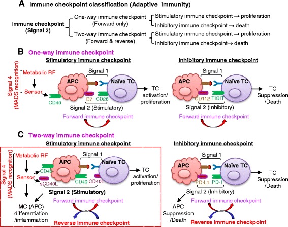 Fig.1 Immune checkpoint functional assessment. (OA Literature)