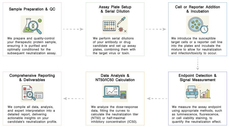 Workflow of Released/Global Glycosylation Profiling Services at Creative Biolabs. (Creative Biolabs Original)