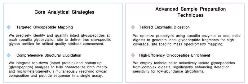 Featured services of the therapeutic antibody glycopeptide analysis service at Creative Biolabs. (Creative Biolabs Original)