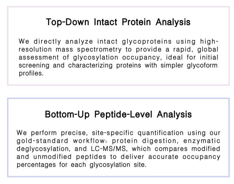 Featured services of Glycosylation Site Occupancy Analysis Service at Creative Biolabs. (Creative Biolabs Original)