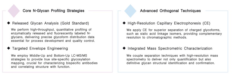 Featured services of therapeutic antibody N-Glycan analysis service at Creative Biolabs. (Creative Biolabs Original)