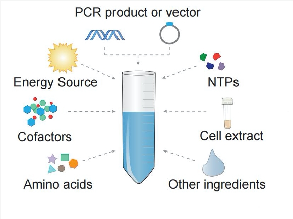 MemDX™ Cell-free Membrane Protein Expression Kit