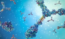Fig.1 Antibody (Creative Biolabs AI)
