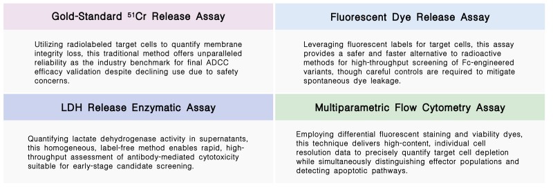 Featured services of the ADCC enhancement service by Fc engineering at Creative Biolabs. (Creative Biolabs Original)