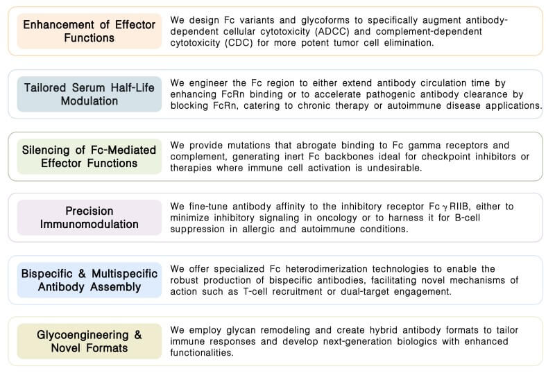 Featured services of antibody property optimization service by Fc engineering at Creative Biolabs. (Creative Biolabs Original)