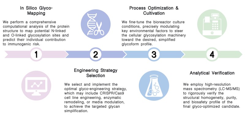 Workflow of biosafety optimization & glyco simplification services at Creative Biolabs. (Creative Biolabs Original)