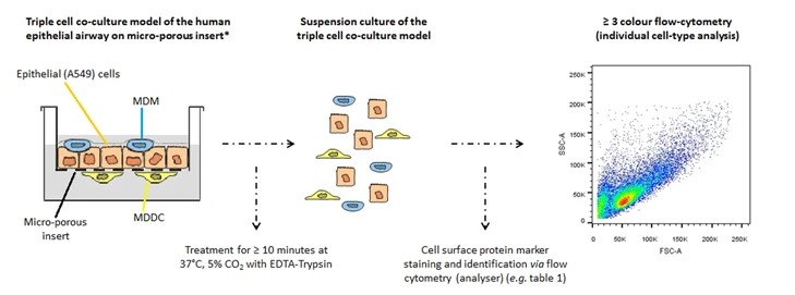 Fig.1 Multi-colour flow cytometry detects cell type specific response. (OA Literature)