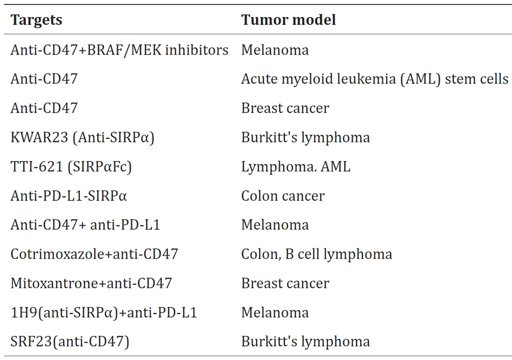 Fig.3 SIRPα/CD47 blockade and antitumor immunotherapy. (Jia, et al., 2021)