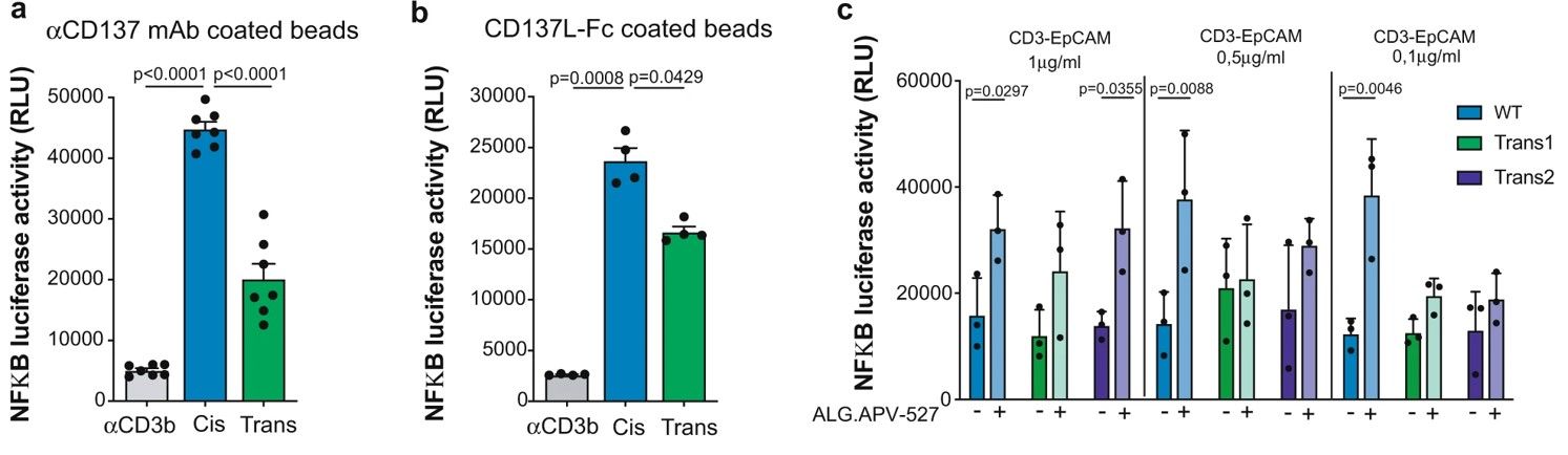 Fig.2 Cis CD137-costimulation is superior at inducing NF-κB activation. (Otano, et al., 2021)