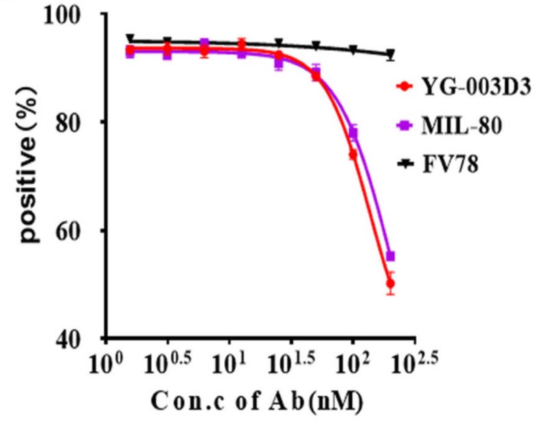 Fig.2 BsAb candidate blocks the interaction between LAG-3/MHC-II. (Shi, et al., 2022)