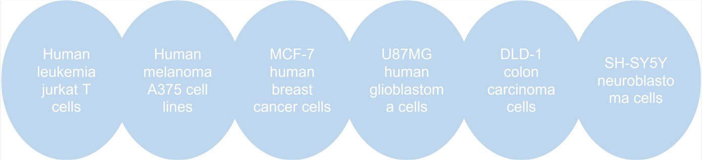 Workflow of our Hi-Affi™ in vitro cell-based adenosine receptor functional assay service. (Creative Biolabs Original)