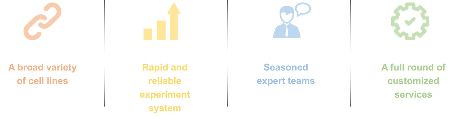 Fig.3 Our service advantages. (Creative Biolabs Original)