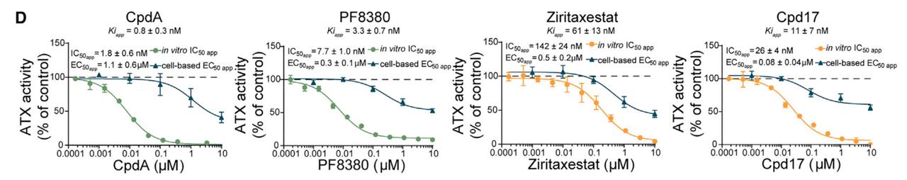 Inhibition of ATX activity in vitro and in BJeH cells