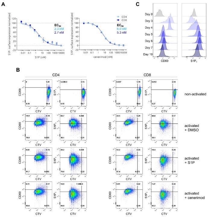 S1P- and cenerimod-mediated S1P1 receptor internalization and CD69 expression dynamics in primary human T cells after activation