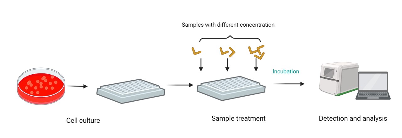 Fig.2 The workflow of our Hi-Affi™ in vitro cell-based bombesin receptor functional assay service. (Creative Biolabs Original)