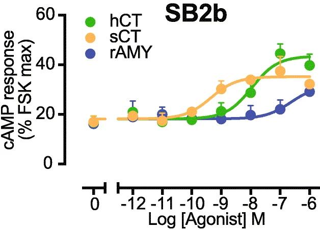 cAMP signaling by CTR activated by its cognate agonists.