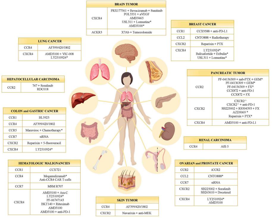Chemokine receptors in cancer therapy
