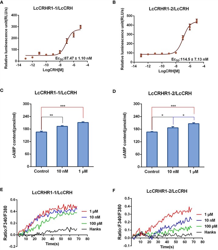 Fig.3 LcCRHR1s' functional properties. (Liu, et al., 2023)