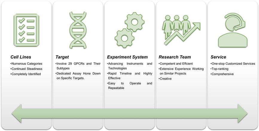 Fig.2 Advantages of our Hi-Affi™ in vitro cell-based GPCR functional assay services. (Creative Biolabs Original)