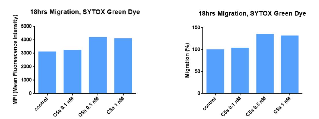 In Vitro Migration induction with C5a based on immortalized human microglia cells. (Left: MFI of migration induction; Right: Migration Ratio under C5a induction)