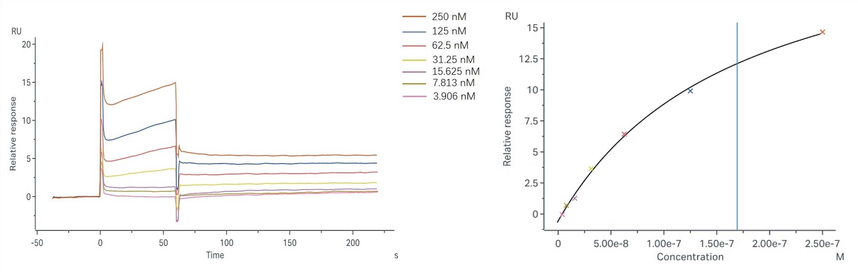 Binding and fitting curves. (Creative Biolabs Original)