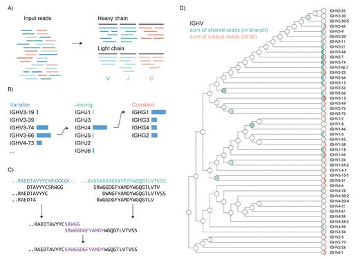 A fast and simple software tool (Stitch) to meet the challenge of mass spectrometry (MS)-based antibody sequencing.