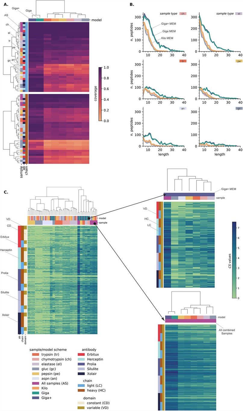 De novo sequencing of monoclonal antibodies by deep learning models.