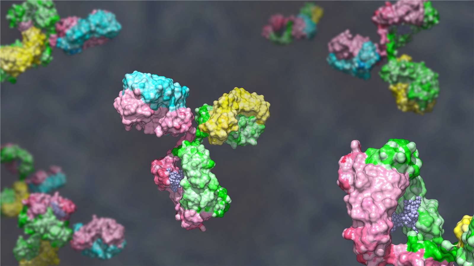 Antibodies (Creative Biolabs Authorized)