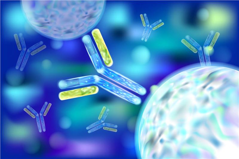 Antibodies. (Creative Biolabs Authorized)
