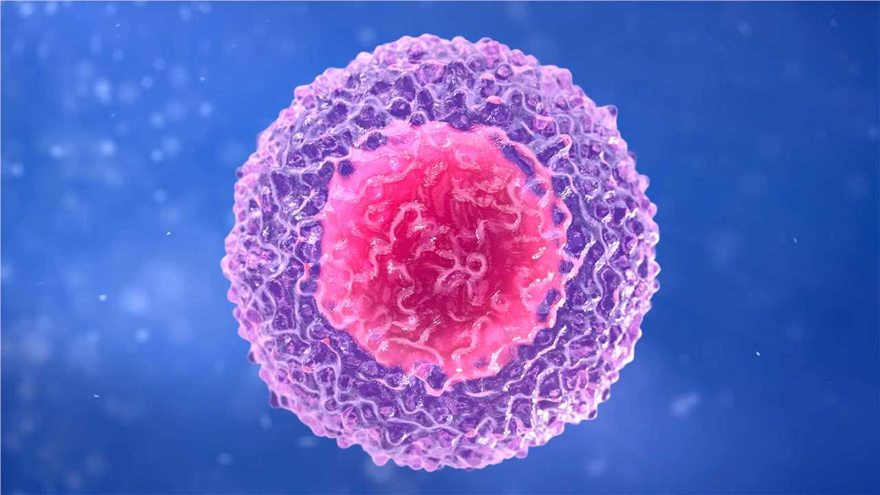 Fig 1.T cell. (Creative Biolabs Authorized)