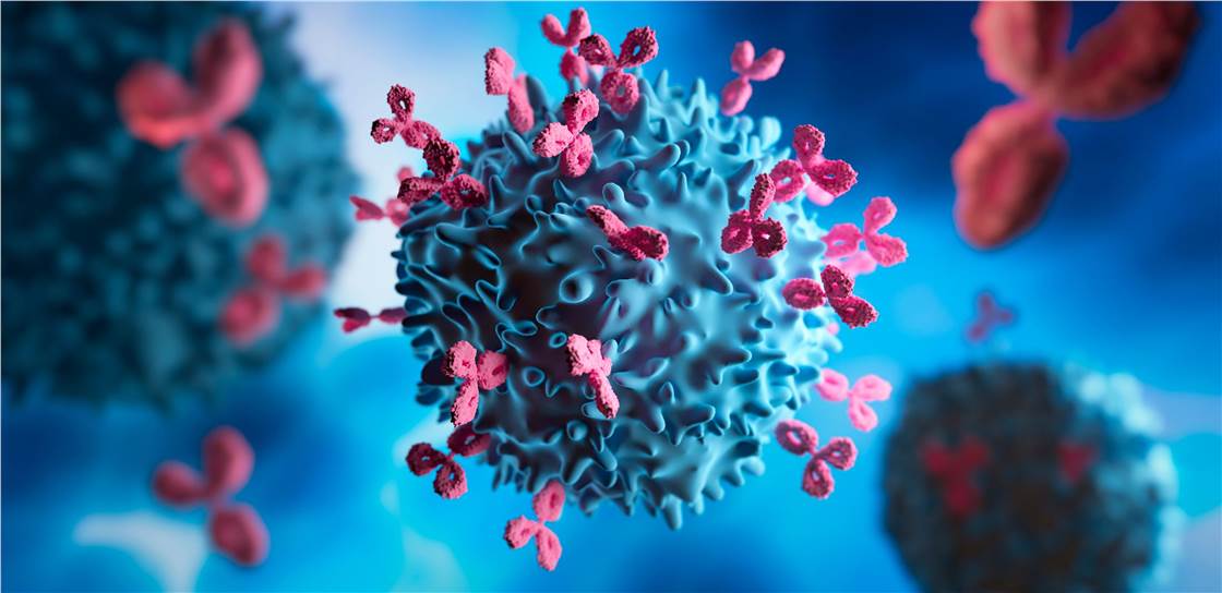 Fig 1. Antibody. (Creative Biolabs Authorized)