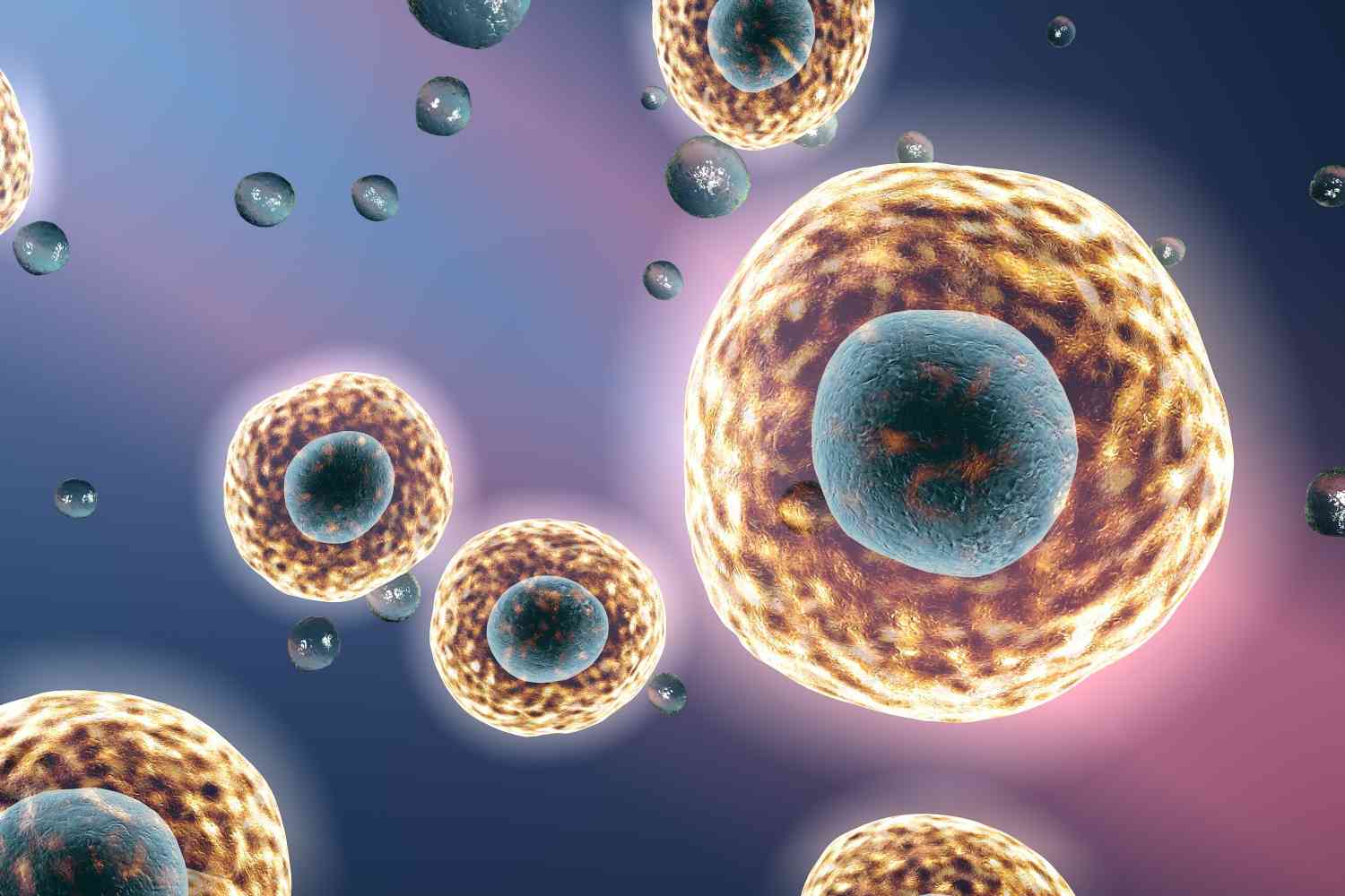 Fig. 1 In Vitro Cell Culture Model (Creative Biolabs Authorized)