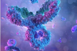 Introduction to Membrane Protein Antibody Discovery Strategies (Creative Biolabs Authorized)
