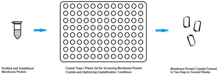 Magic™ Membrane Protein Characterization by X-Ray Crystallography