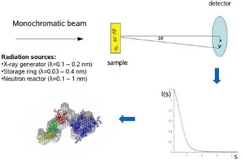 Schematic representation of a SAS experiment