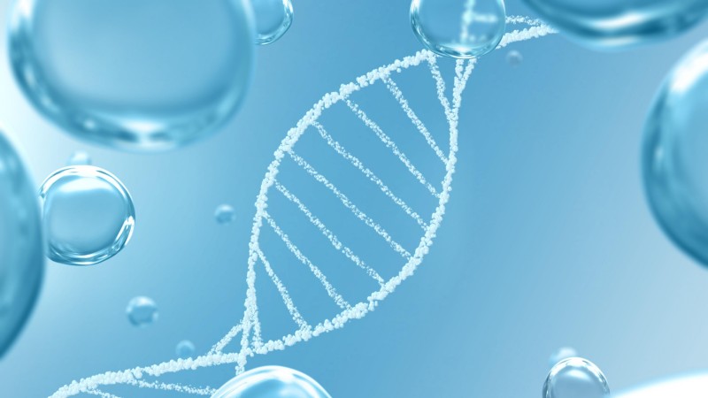 Fig.1 http://47.109.42.40:8006/images/bf33c5edde0afae0eb9e411f79042c51.jpg. (Creative Biolabs Authorized)